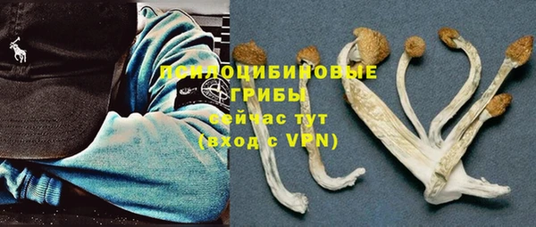 дживик Верея