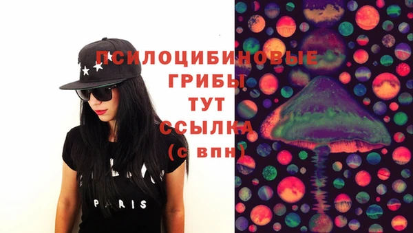 дживик Верея